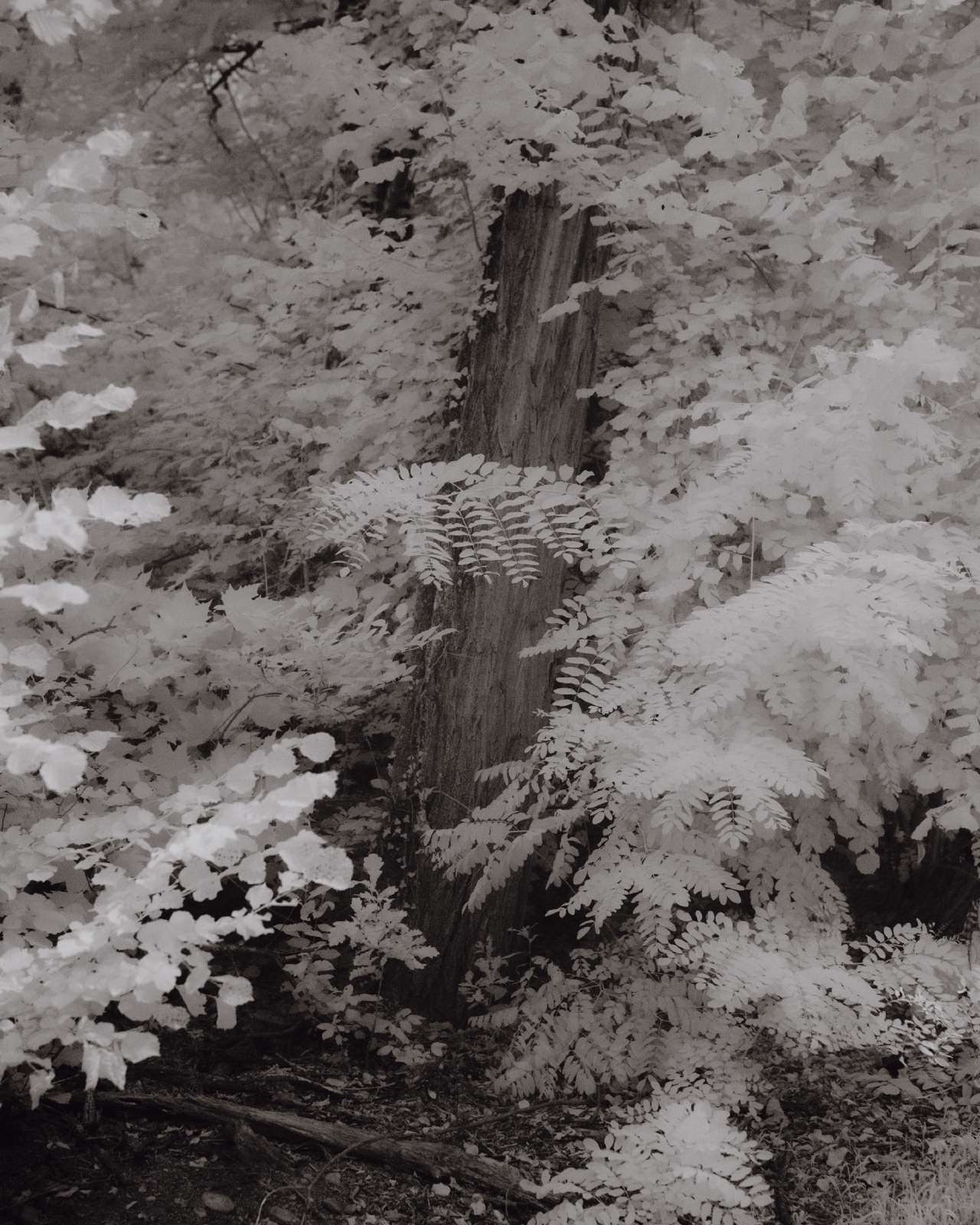 atmos-14