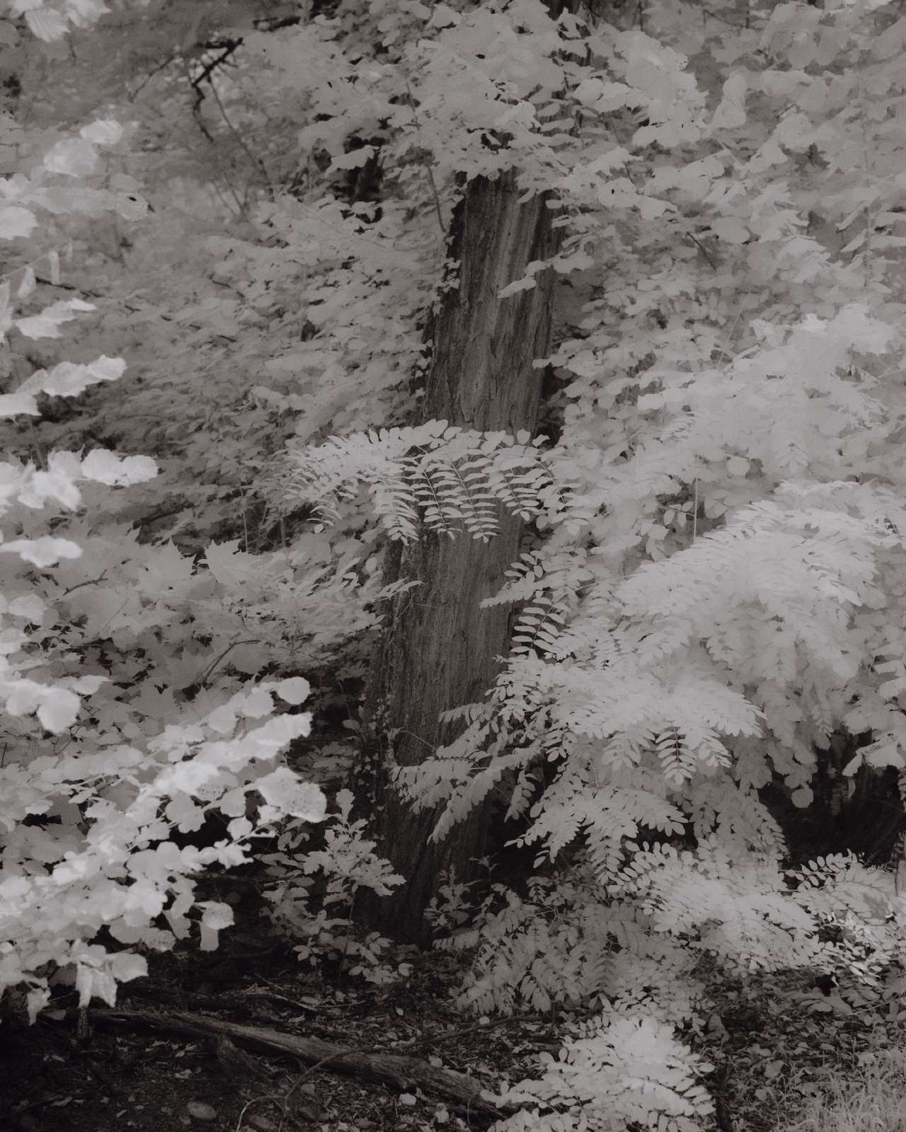 atmos-14