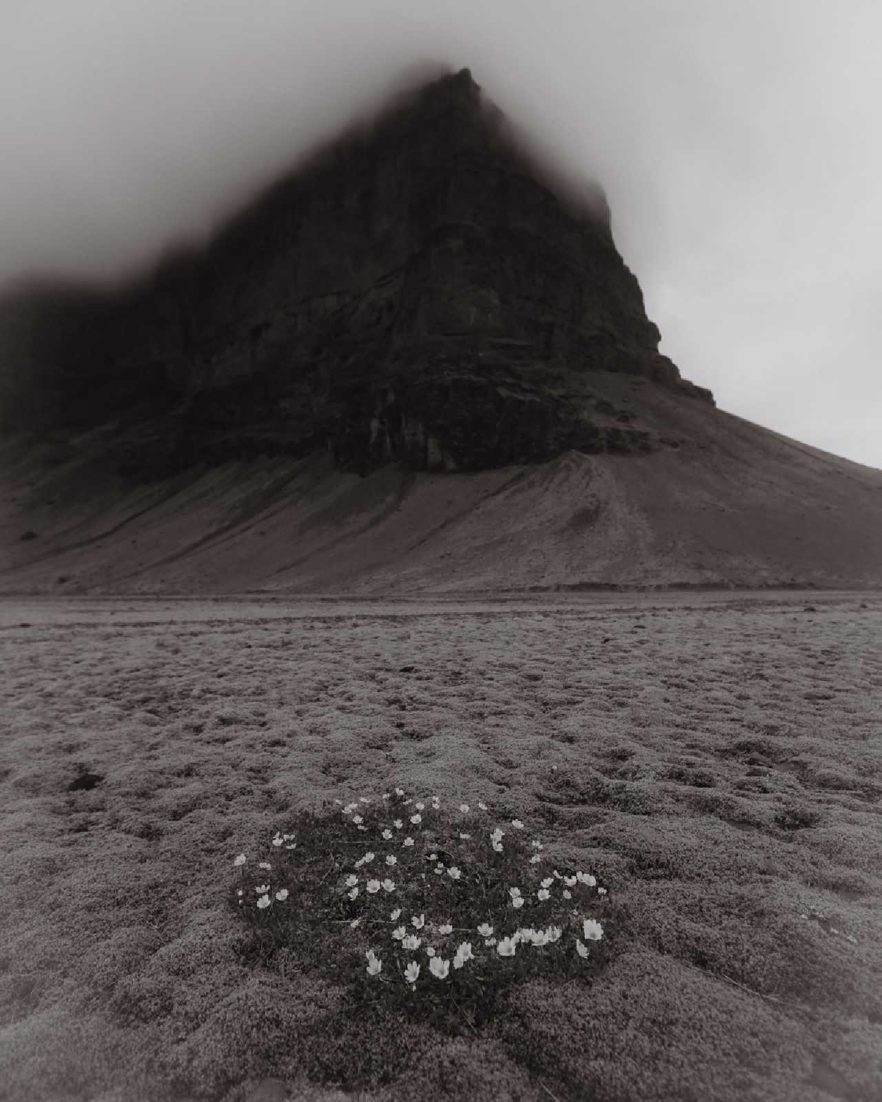 iceland-03