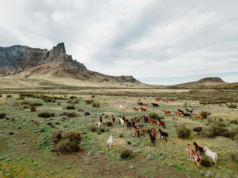 Patagonia Expedition