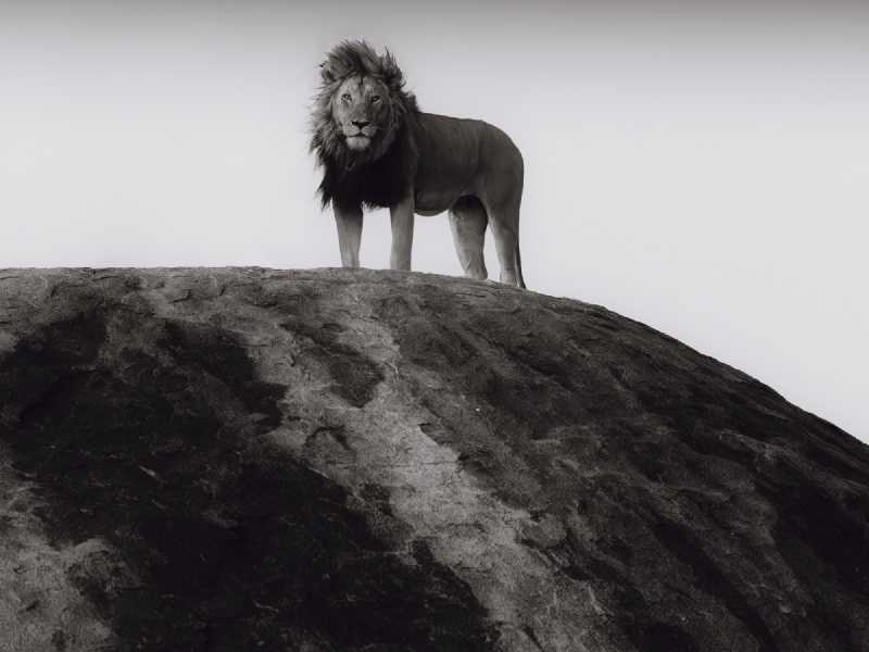 Tanzania Expedition 