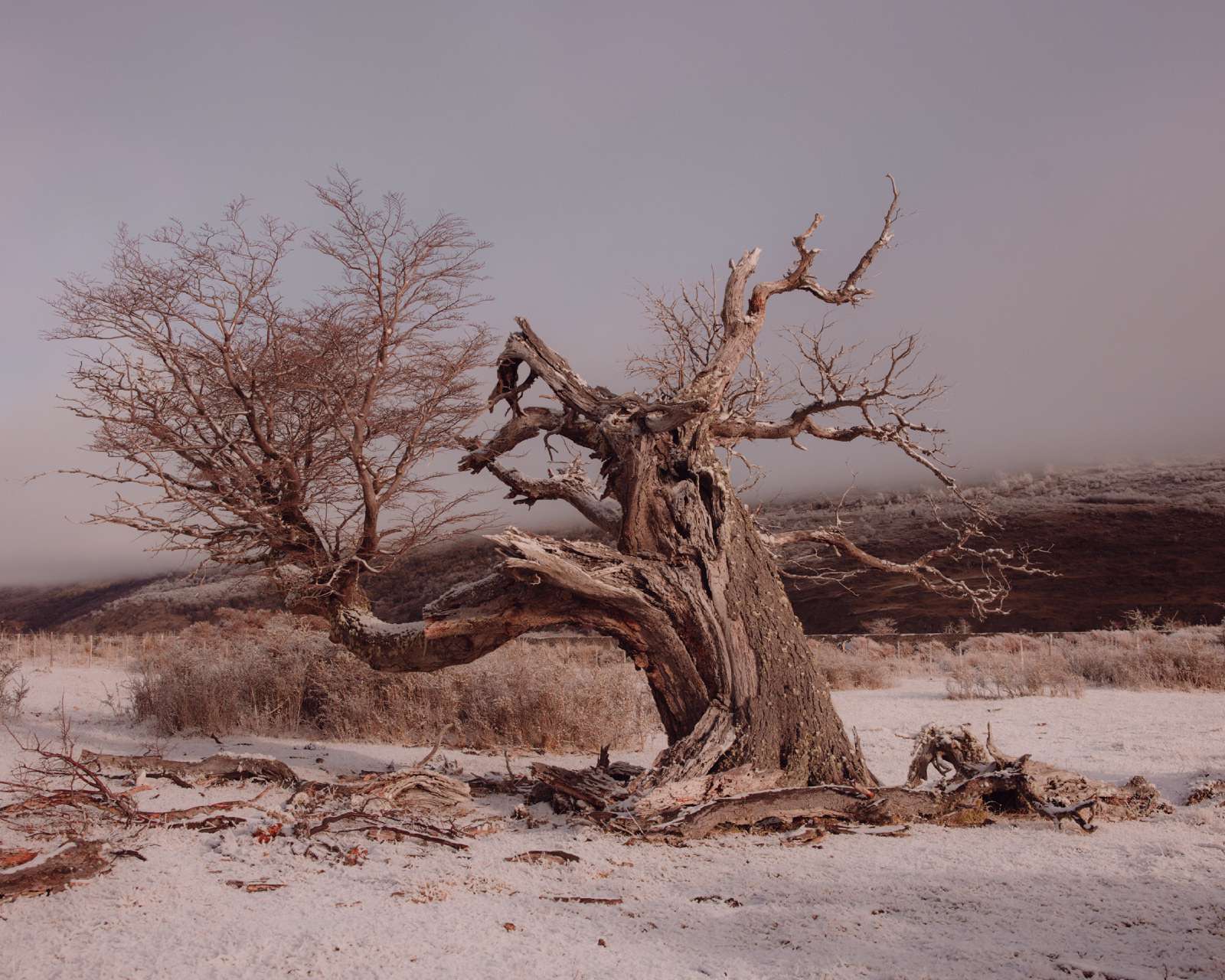 coiron-04