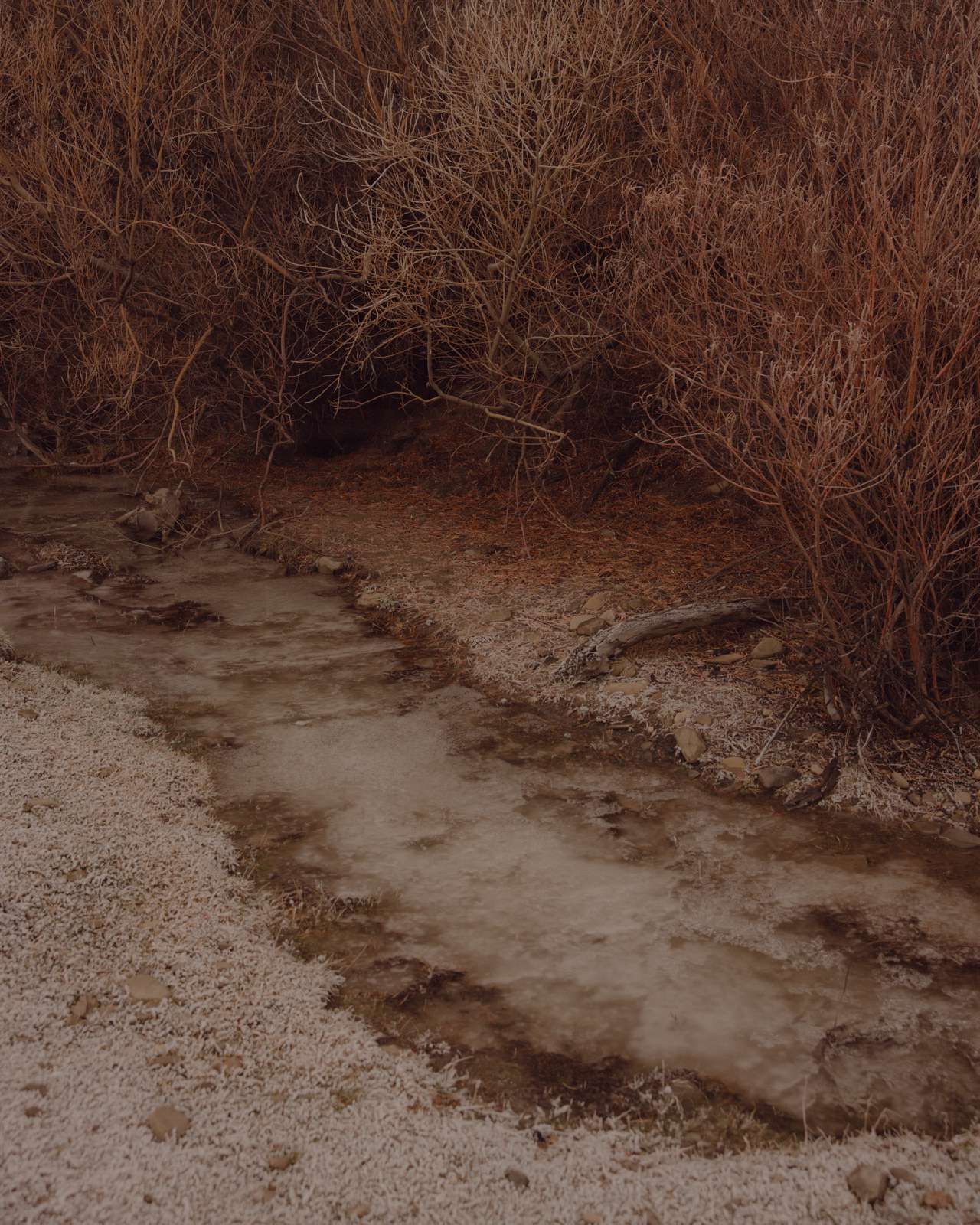 coiron-15